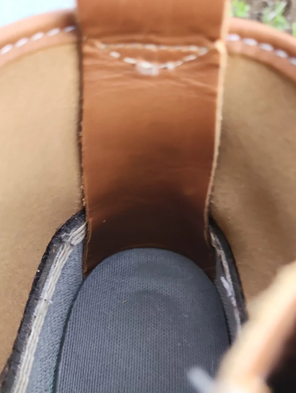 LL Bean 6